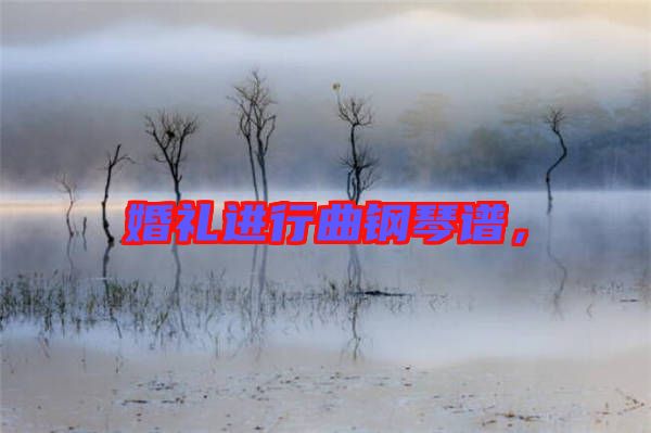 婚禮進(jìn)行曲鋼琴譜，