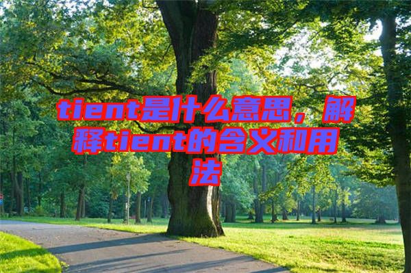 tient是什么意思，解釋tient的含義和用法