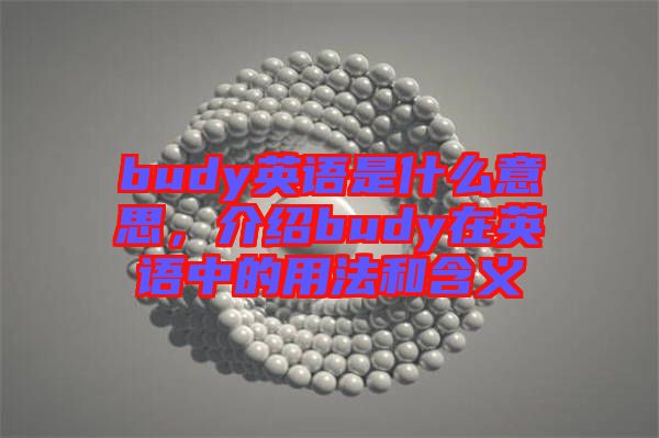 budy英語是什么意思，介紹budy在英語中的用法和含義