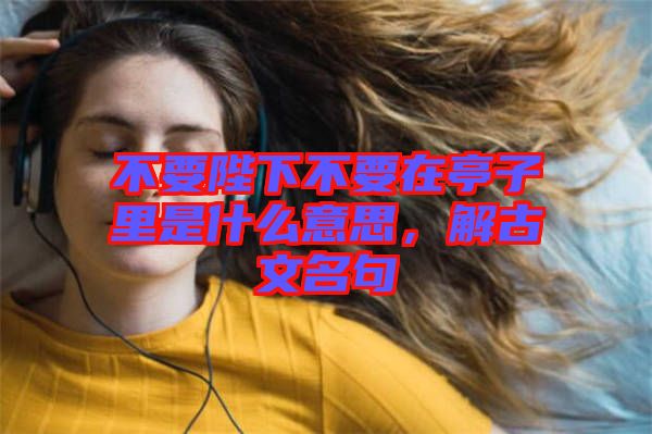 不要陛下不要在亭子里是什么意思，解古文名句