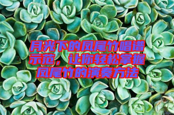 月光下的鳳尾竹唱譜示范，讓你輕松掌握鳳尾竹的演奏方法