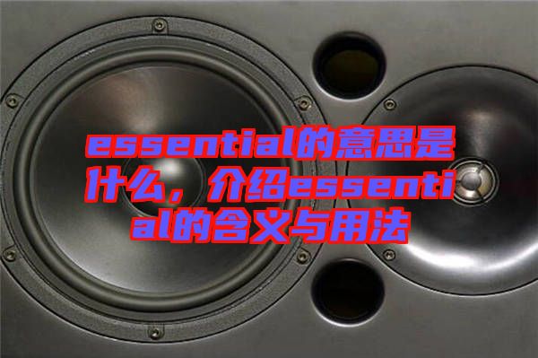 essential的意思是什么，介紹essential的含義與用法