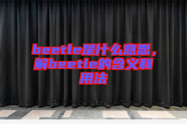 beetle是什么意思，解beetle的含義和用法