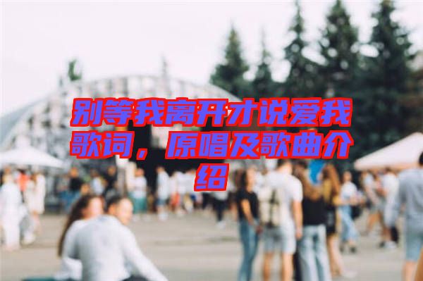 別等我離開才說(shuō)愛我歌詞，原唱及歌曲介紹