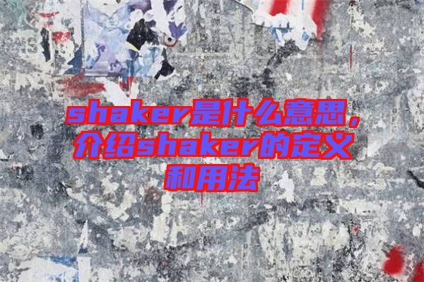 shaker是什么意思，介紹shaker的定義和用法