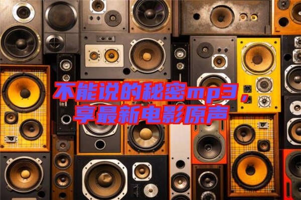 不能說的秘密mp3，享最新電影原聲