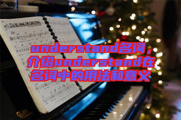 understand名詞，介紹understand在名詞中的用法和意義
