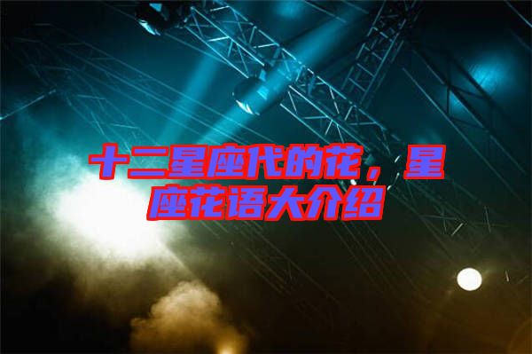 十二星座代的花，星座花語大介紹