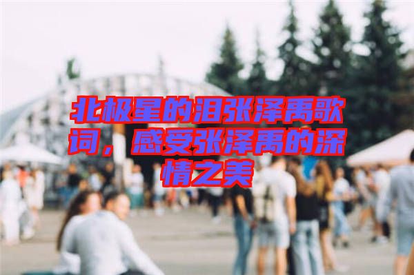 北極星的淚張澤禹歌詞，感受張澤禹的深情之美