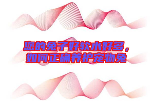 您的兔子好軟水好多，如何正確養(yǎng)護寵物兔