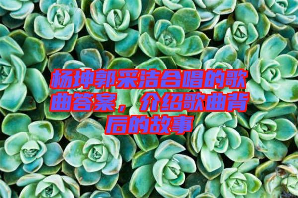 楊坤郭采潔合唱的歌曲答案，介紹歌曲背后的故事