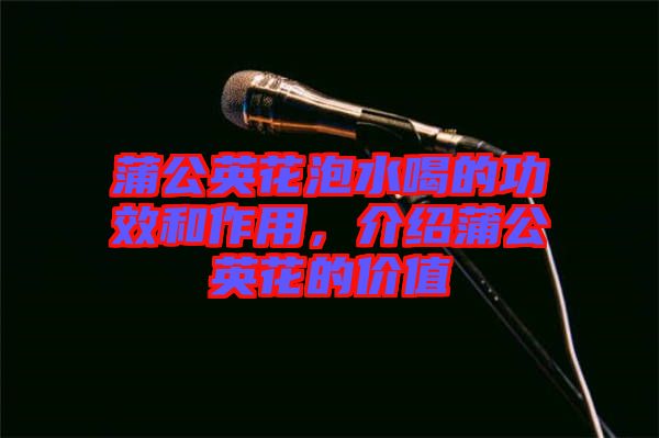 蒲公英花泡水喝的功效和作用，介紹蒲公英花的價值