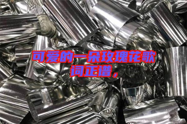 可愛的一朵玫瑰花歌詞正譜，