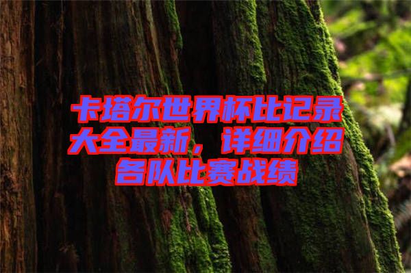 卡塔爾世界杯比記錄大全最新，詳細(xì)介紹各隊(duì)比賽戰(zhàn)績