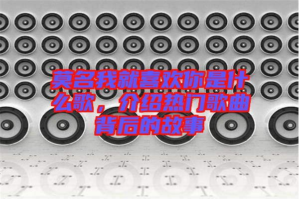 莫名我就喜歡你是什么歌，介紹熱門歌曲背后的故事