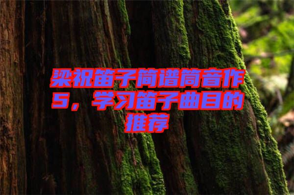 梁祝笛子簡(jiǎn)譜筒音作5，學(xué)習(xí)笛子曲目的推薦