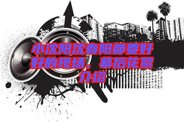 小沈陽(yáng)沈春陽(yáng)都要好好的現(xiàn)場(chǎng)，幕后花絮介紹