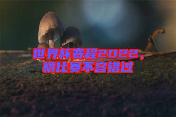 世界杯賽程2022，精比賽不容錯過