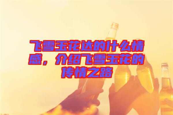 飛雪玉花達(dá)的什么情感，介紹飛雪玉花的傳情之路