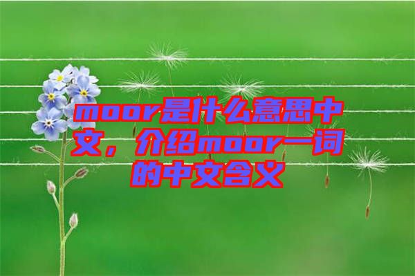 moor是什么意思中文，介紹moor一詞的中文含義
