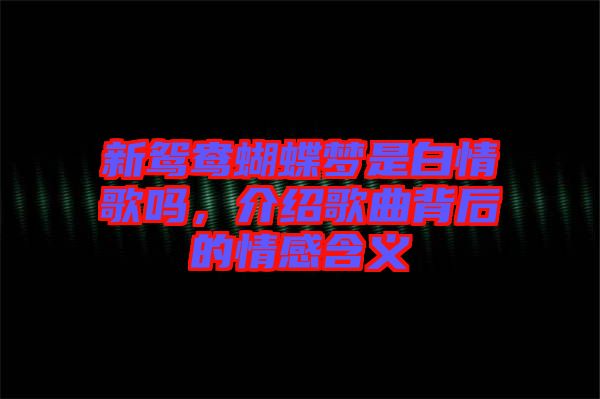 新鴛鴦蝴蝶夢(mèng)是白情歌嗎，介紹歌曲背后的情感含義