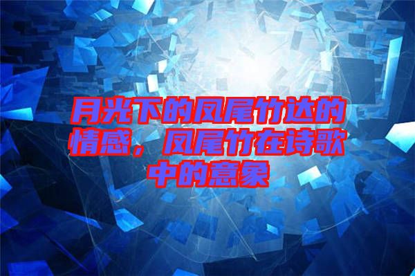 月光下的鳳尾竹達(dá)的情感，鳳尾竹在詩歌中的意象