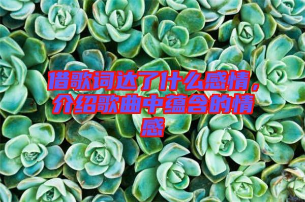 借歌詞達(dá)了什么感情，介紹歌曲中蘊(yùn)含的情感
