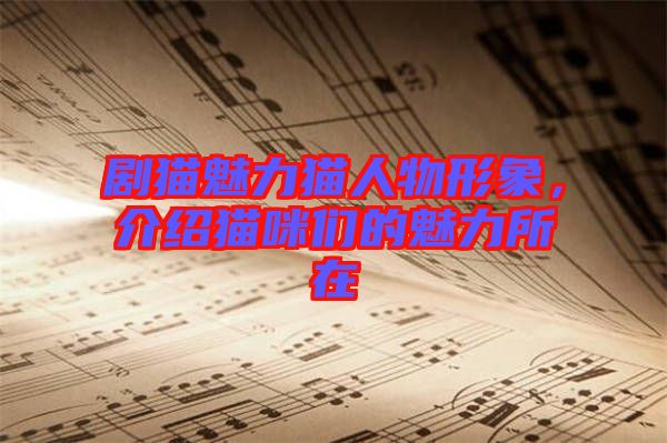 劇貓魅力貓人物形象，介紹貓咪們的魅力所在