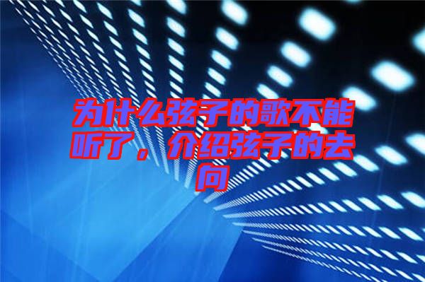 為什么弦子的歌不能聽了，介紹弦子的去向