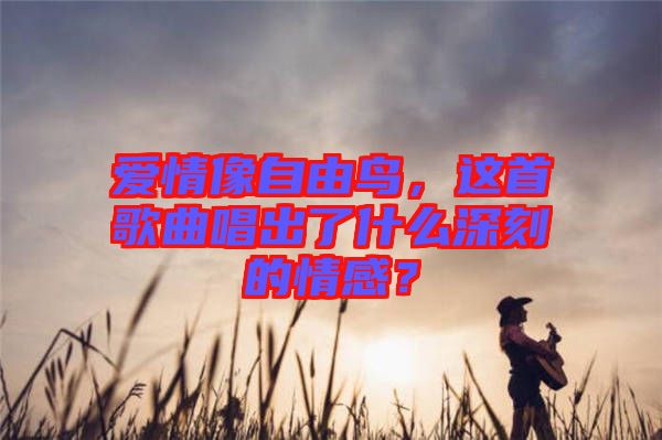 愛情像自由鳥，這首歌曲唱出了什么深刻的情感？