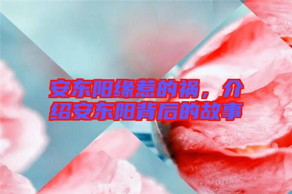 安東陽緣惹的禍，介紹安東陽背后的故事