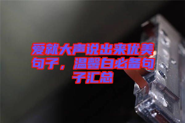 愛就大聲說出來優(yōu)美句子，溫馨白必備句子匯總