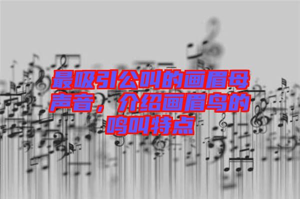 最吸引公叫的畫眉母聲音，介紹畫眉鳥的鳴叫特點(diǎn)