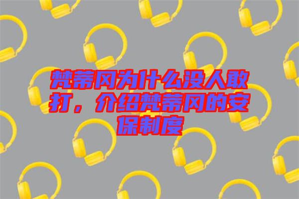 梵蒂岡為什么沒人敢打，介紹梵蒂岡的安保制度