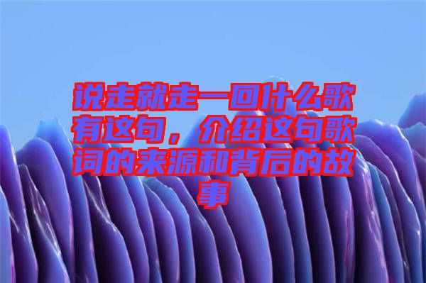 說走就走一回什么歌有這句，介紹這句歌詞的來源和背后的故事