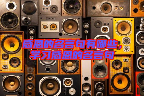 感恩的名言句有哪些，學(xué)習(xí)感恩的名言句