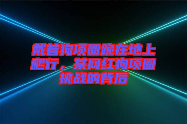 戴著狗項圈跪在地上爬行，某網紅狗項圈挑戰(zhàn)的背后