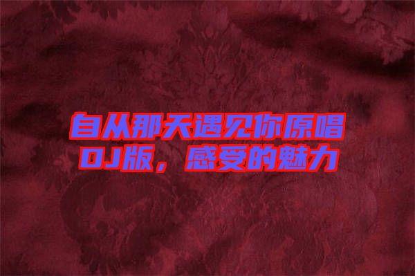 自從那天遇見你原唱DJ版，感受的魅力