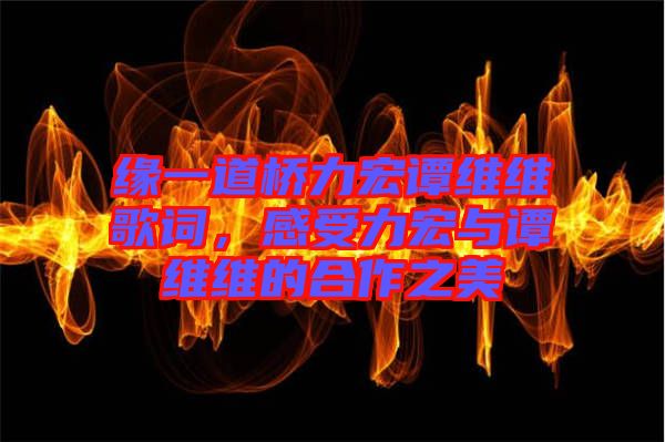 緣一道橋力宏譚維維歌詞，感受力宏與譚維維的合作之美