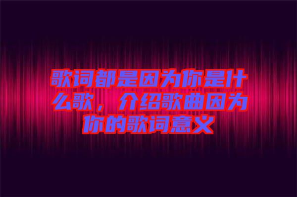 歌詞都是因?yàn)槟闶鞘裁锤?，介紹歌曲因?yàn)槟愕母柙~意義