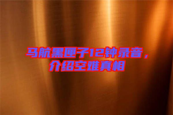 馬航黑匣子12鐘錄音，介紹空難真相