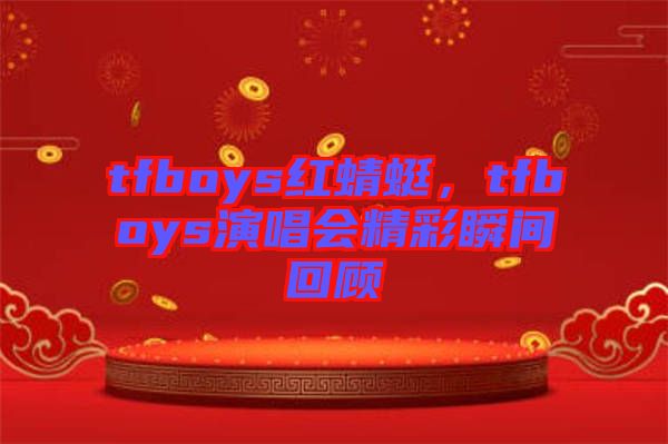 tfboys紅蜻蜓，tfboys演唱會(huì)精彩瞬間回顧