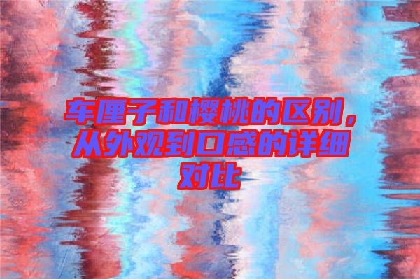 車?yán)遄雍蜋烟业膮^(qū)別，從外觀到口感的詳細(xì)對(duì)比