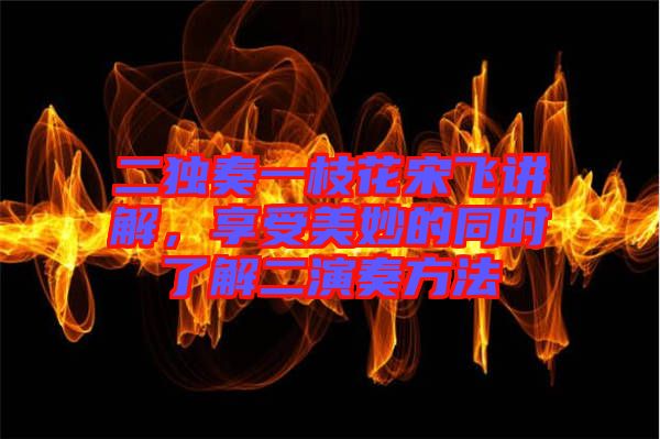 二獨(dú)奏一枝花宋飛講解，享受美妙的同時(shí)了解二演奏方法