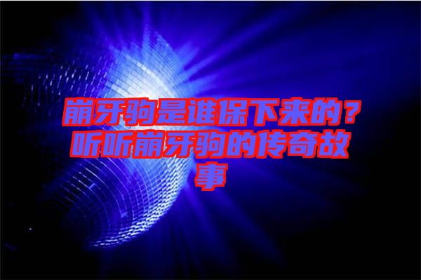 崩牙駒是誰(shuí)保下來(lái)的？聽聽崩牙駒的傳奇故事