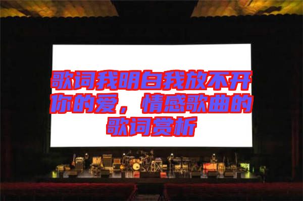 歌詞我明白我放不開你的愛，情感歌曲的歌詞賞析