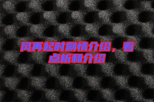 風(fēng)再起時(shí)劇情介紹，看點(diǎn)析和介紹