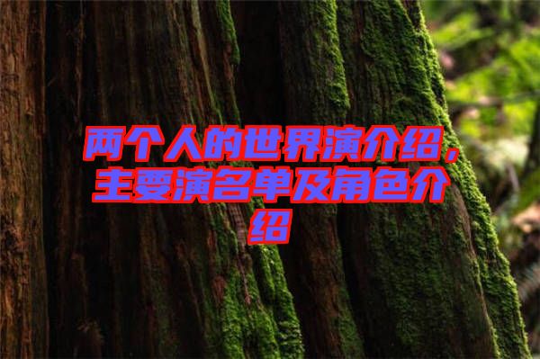 兩個人的世界演介紹，主要演名單及角色介紹