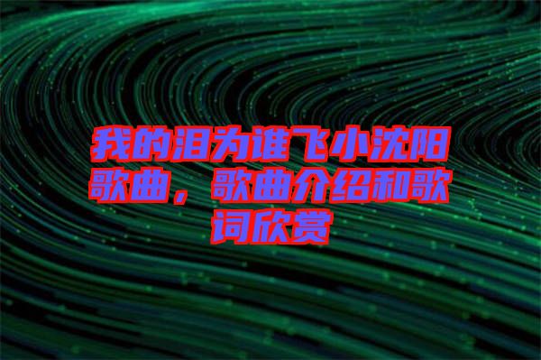 我的淚為誰(shuí)飛小沈陽(yáng)歌曲，歌曲介紹和歌詞欣賞