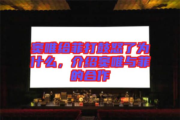 竇唯給菲打鼓怒了為什么，介紹竇唯與菲的合作